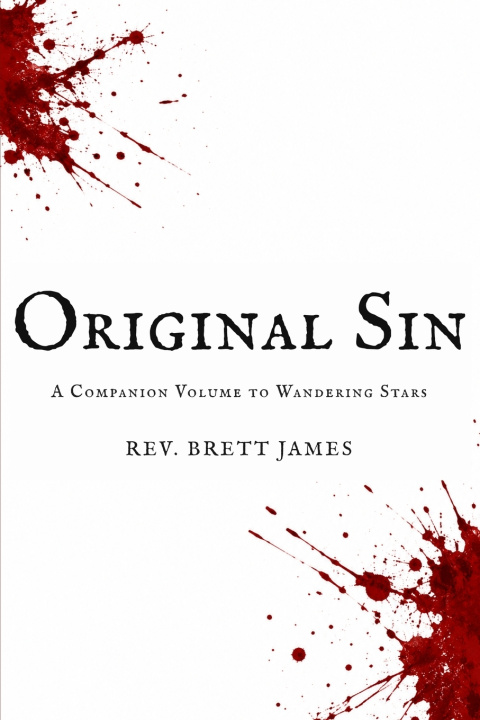 Livro Original Sin Rev. Brett James