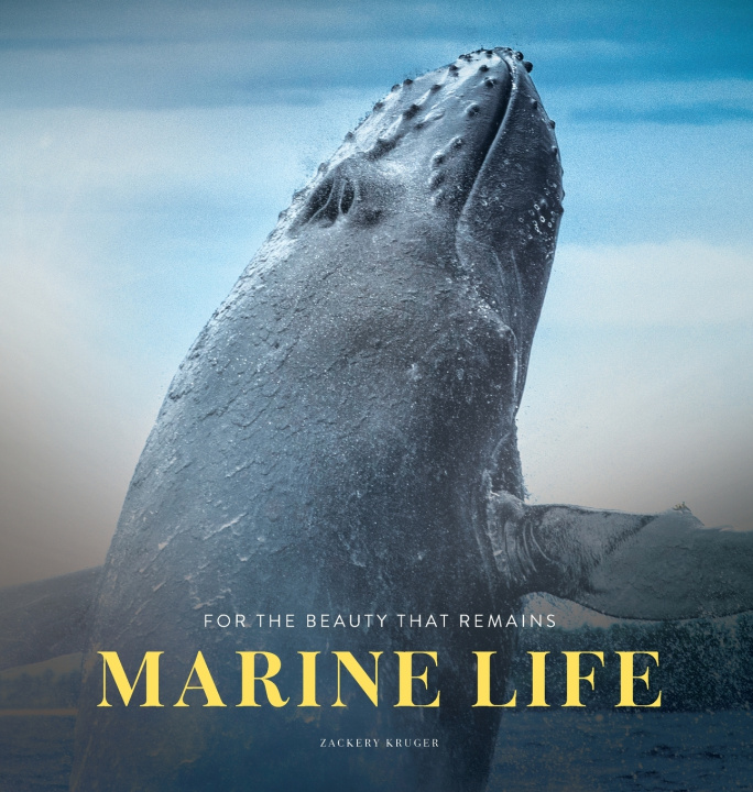 Könyv Marine Life Zackery Kruger
