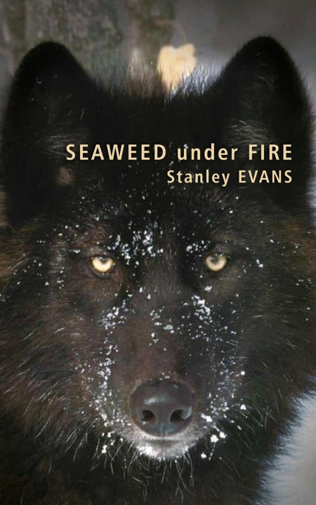 Kniha Seaweed Under Fire Stanley Evans