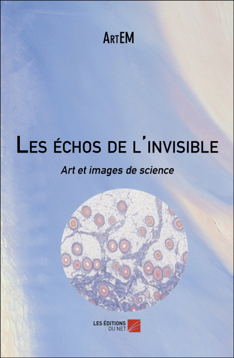 Könyv Les échos de l'invisible Artem