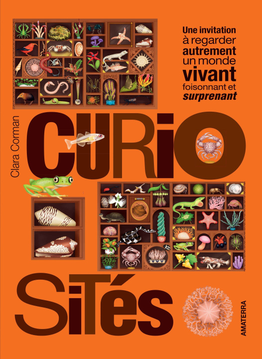 Kniha Curiosités 