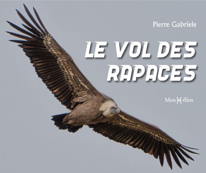 Kniha Le vol des rapaces Pierre Gabriele