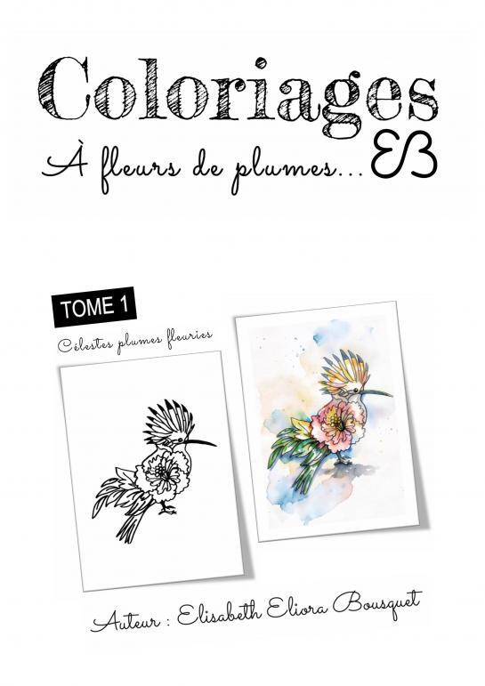 Könyv CÉLESTES PLUMES FLEURIES Elisabeth Eliora BOUSQUET