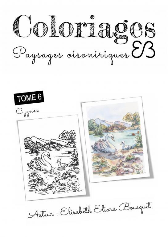Buch PAYSAGES OISONIRIQUES - 6 Elisabeth Eliora BOUSQUET
