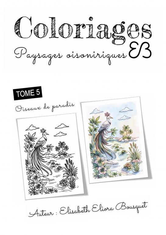 Carte PAYSAGES OISONIRIQUES - 5 Elisabeth Eliora BOUSQUET