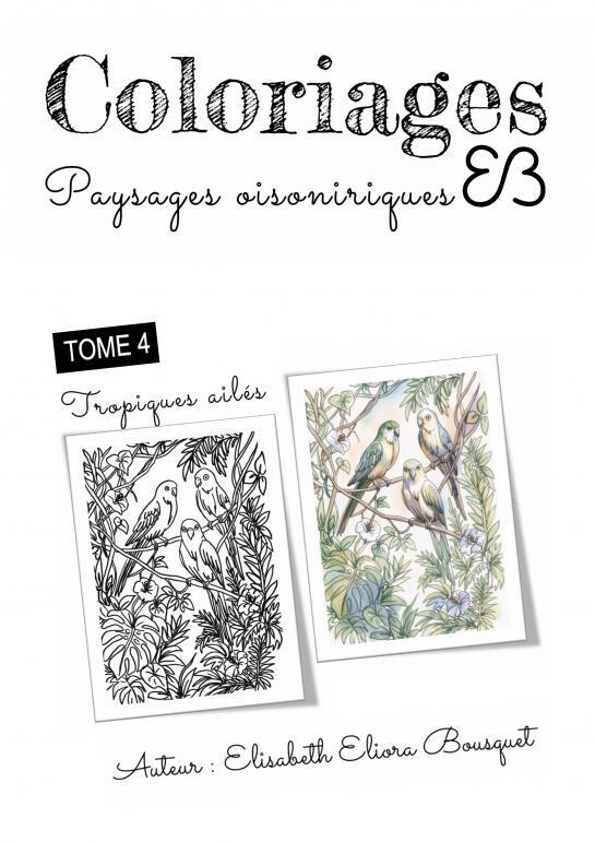 Buch PAYSAGES OISONIRIQUES - 4 Elisabeth Eliora BOUSQUET