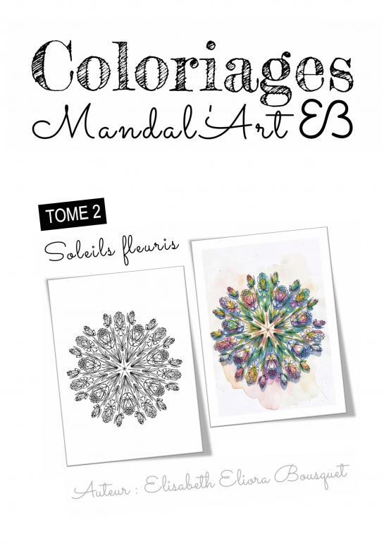 Buch SOLEILS FLEURIS Elisabeth Eliora BOUSQUET