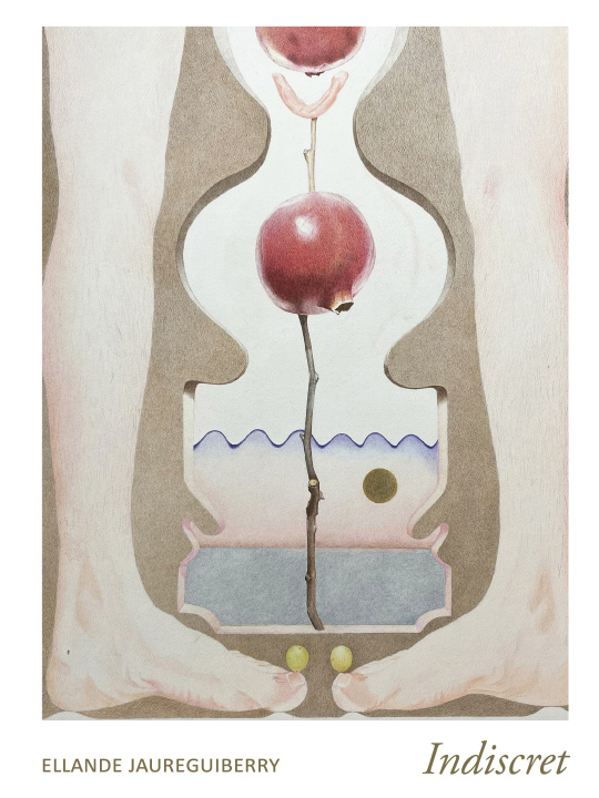Book Indiscret Ellande Jaureguiberry