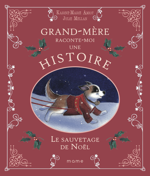 Knjiga Le Sauvetage de Noël Karine-Marie Amiot