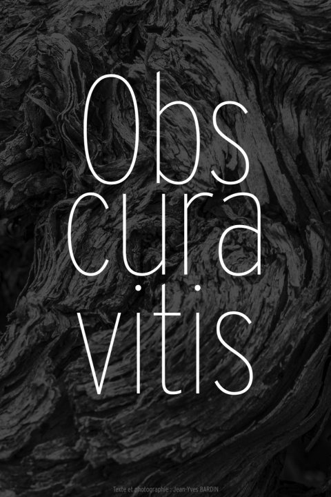 Kniha OBSCURA VITIS : VIGNES OBSCURES JEAN-YVES BARDIN