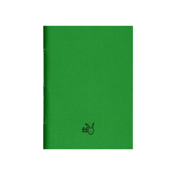 Knjiga 44 Poèmes inspirés par Madame Bovary ildefonse