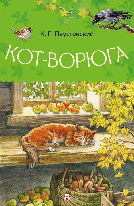 Buch Кот-ворюга Константин Паустовский