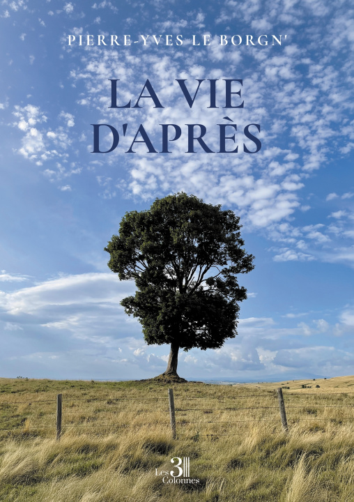 Libro La vie d'après Pierre-Yves LE BORGN'