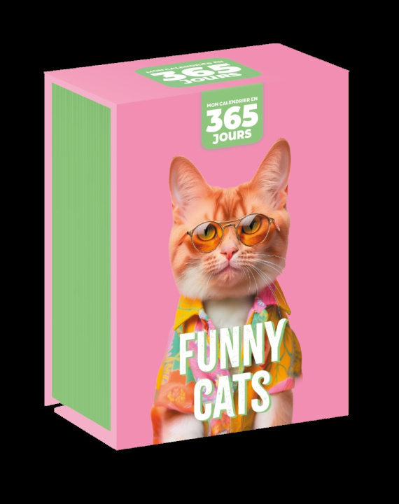 Kalendář/Diář Mon calendrier - Funny cats 