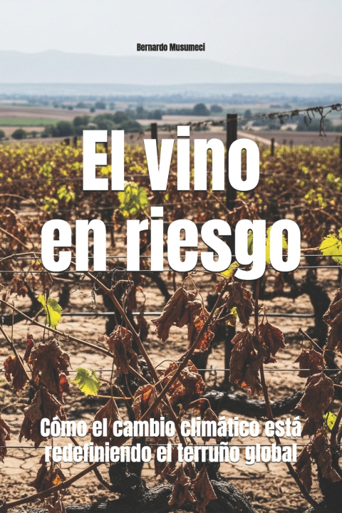Buch El vino en riesgo Bernardo Musumeci