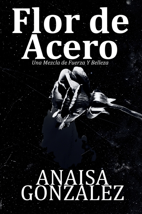 Buch Flor de Acero Anaisa Gonzalez