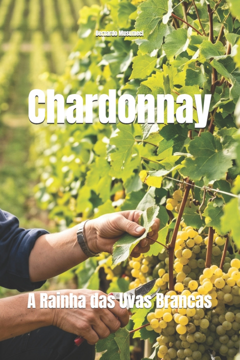 Kniha Chardonnay Bernardo Musumeci