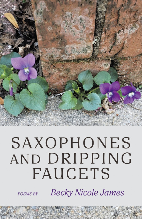 Knjiga Saxophones and Dripping Faucets Becky Nicole James