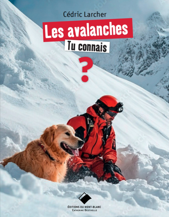 Книга Les avalanches, tu connais ? Cedric Larcher