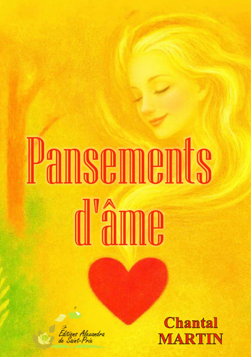 Livro Pansements d'âme MARTIN