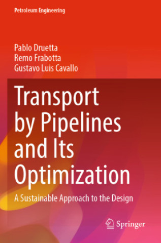 Книга Transport by Pipelines and Its Optimization Pablo Druetta