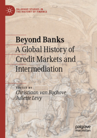 Libro Beyond Banks Christiaan van Bochove