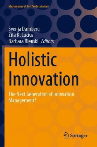 Книга Holistic Innovation Svenja Damberg