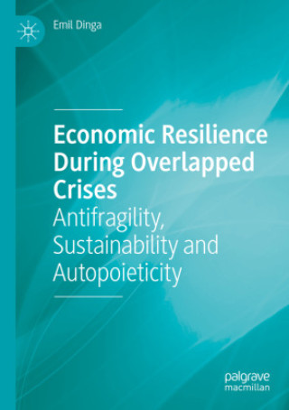 Книга Economic Resilience During Overlapped Crises Emil Dinga