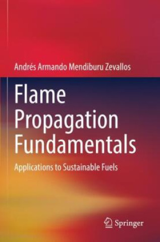 Livro Flame Propagation Fundamentals Andrés Armando Mendiburu Zevallos