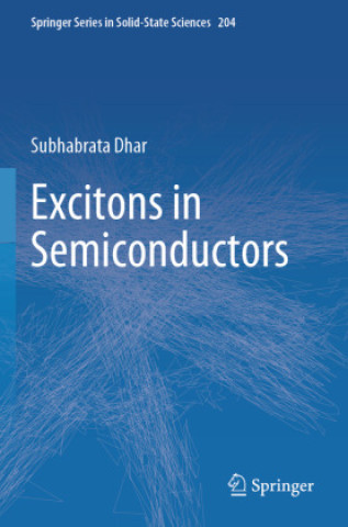 Libro Excitons in Semiconductors Subhabrata Dhar