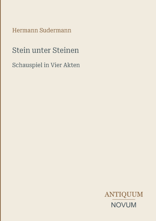 Książka Stein unter Steinen Hermann Sudermann