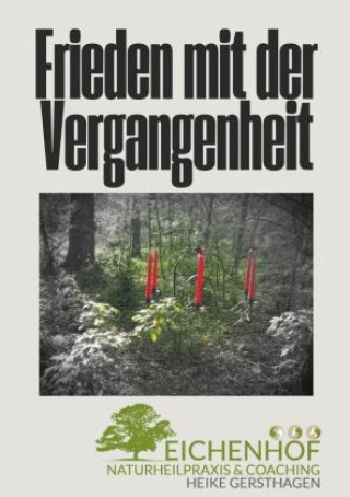 Knjiga Frieden mit der Vergangenheit Heike Gersthagen