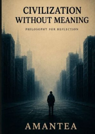 Libro Civilization Without Meaning Amantea Amantea