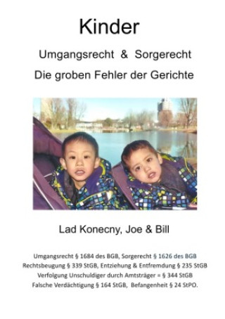 Книга Kinder Umgangsrecht Umgangsverbot Lad Konecny