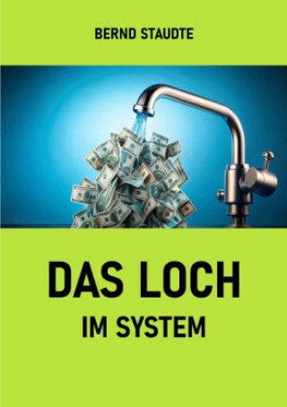Libro Das Loch im System Bernd Staudte