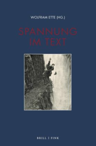 Livro Spannung im Text Wolfram Ette