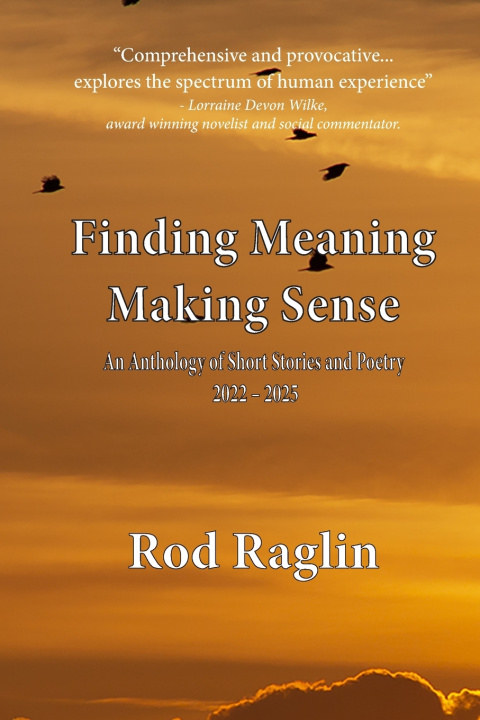 Libro Finding Meaning, Making Sense Raglin