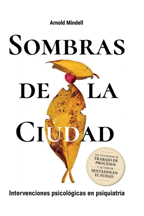 Libro SOMBRAS DE LA CIUDAD Arnold Mindell