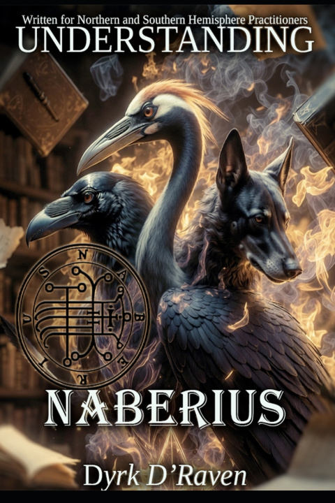 Książka Understanding Naberius Dyrk D'Raven