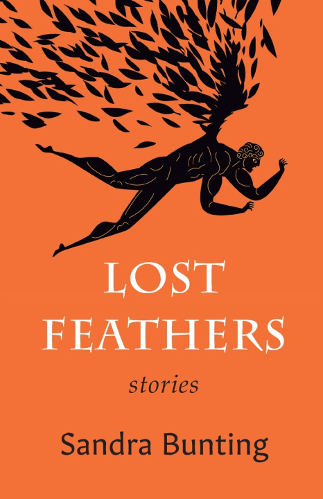 Book Lost Feathers Sandra Bunting