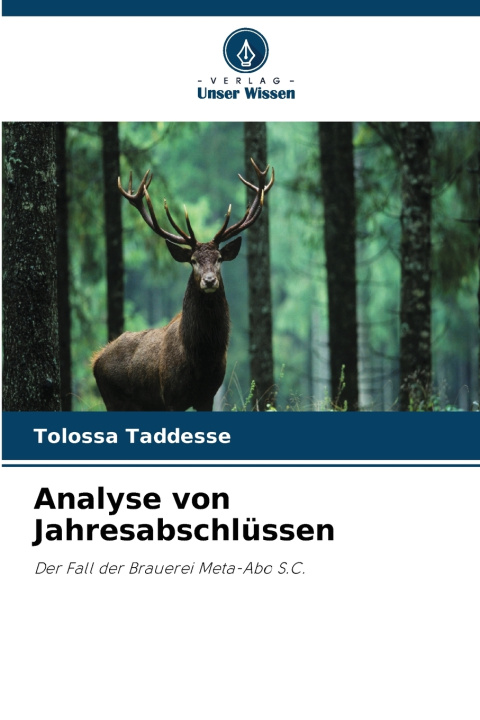 Książka Analyse von Jahresabschlüssen Tolossa Taddesse