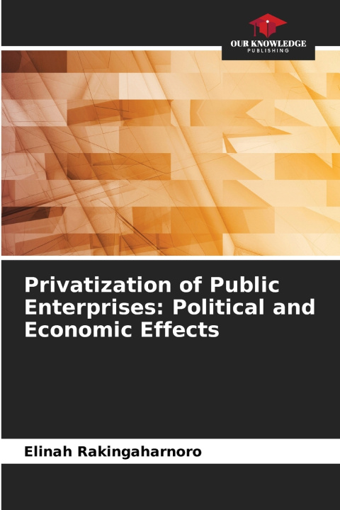 Buch Privatization of Public Enterprises Elinah Rakingaharnoro