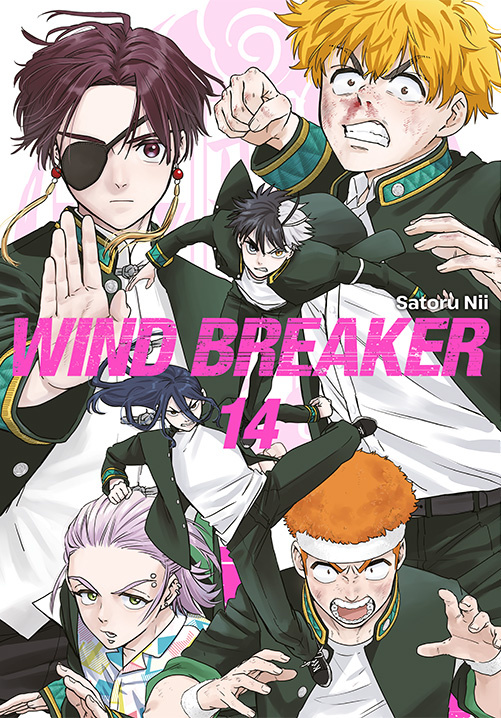 Buch Wind Breaker. Tom 14 Satoru Nii