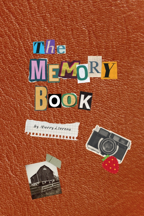 Livro The Memory Book Merry Melina Llerena