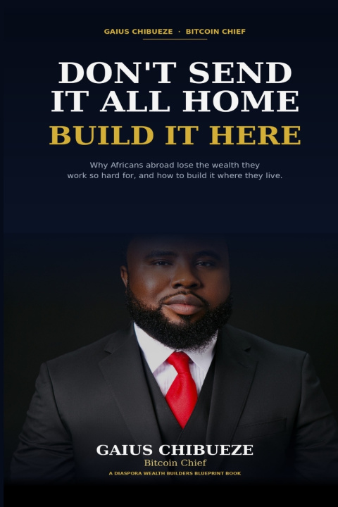 Book Don't Send It All Home, Build It Here Gaius Chibueze