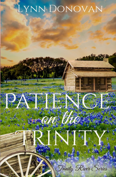 Książka Patience on the Trinity Lynn Donovan