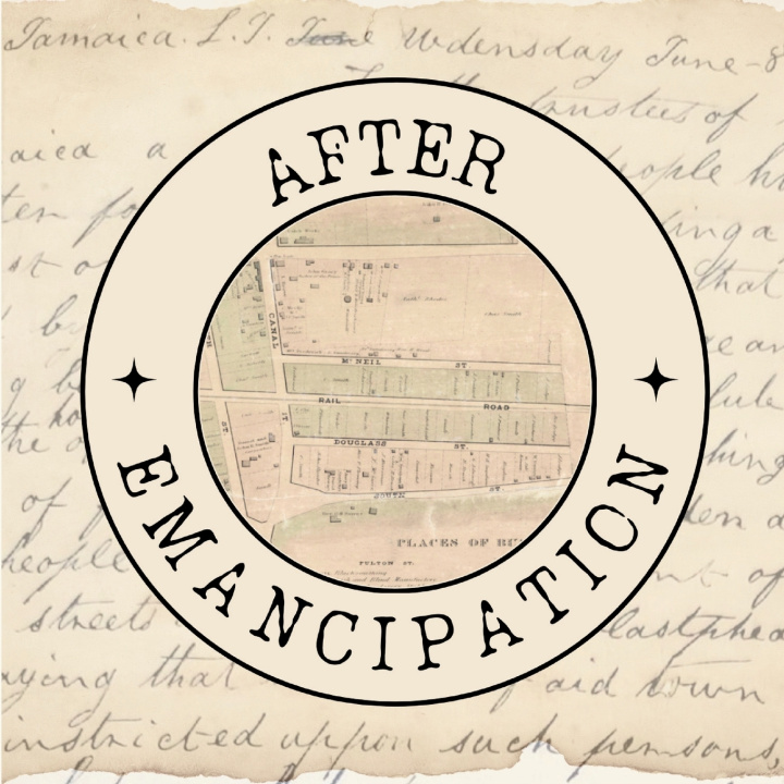 Buch After Emancipation Kelsey Brow
