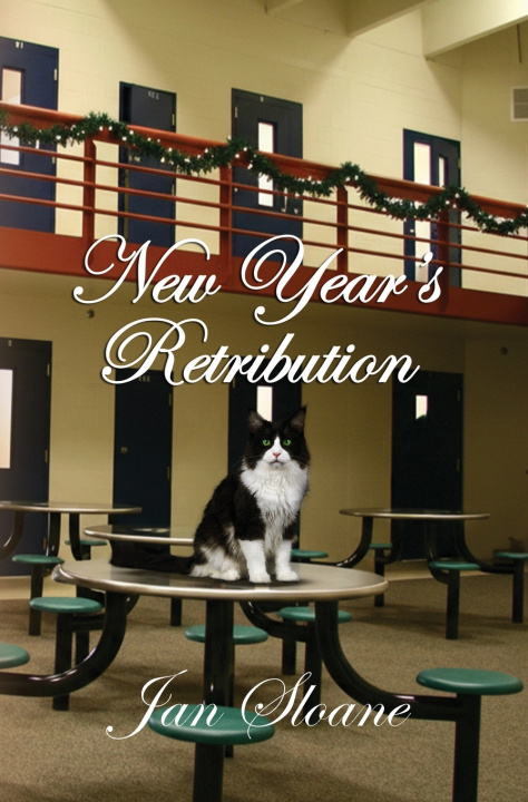 Buch New Year's Retribution Jan Sloane