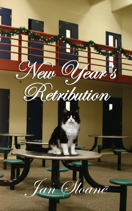 Buch New Year's Retribution Jan Sloane