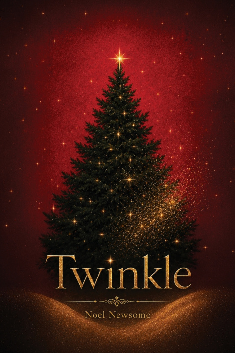Knjiga Twinkle Noel Newsome